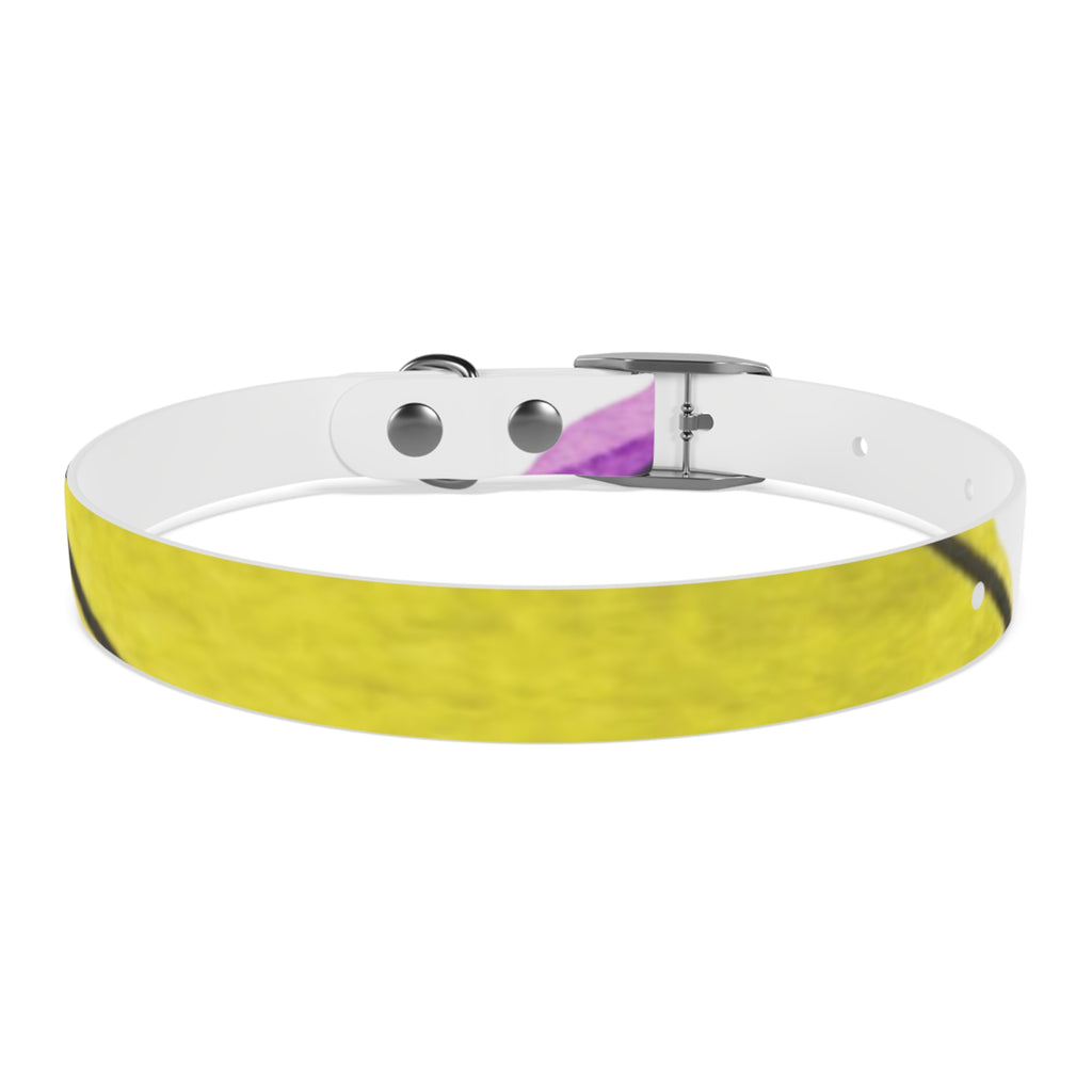 Artist Link: Petals Watercolor Dot Dog Collar — Colorful Pink & Yellow Pet Accessory
