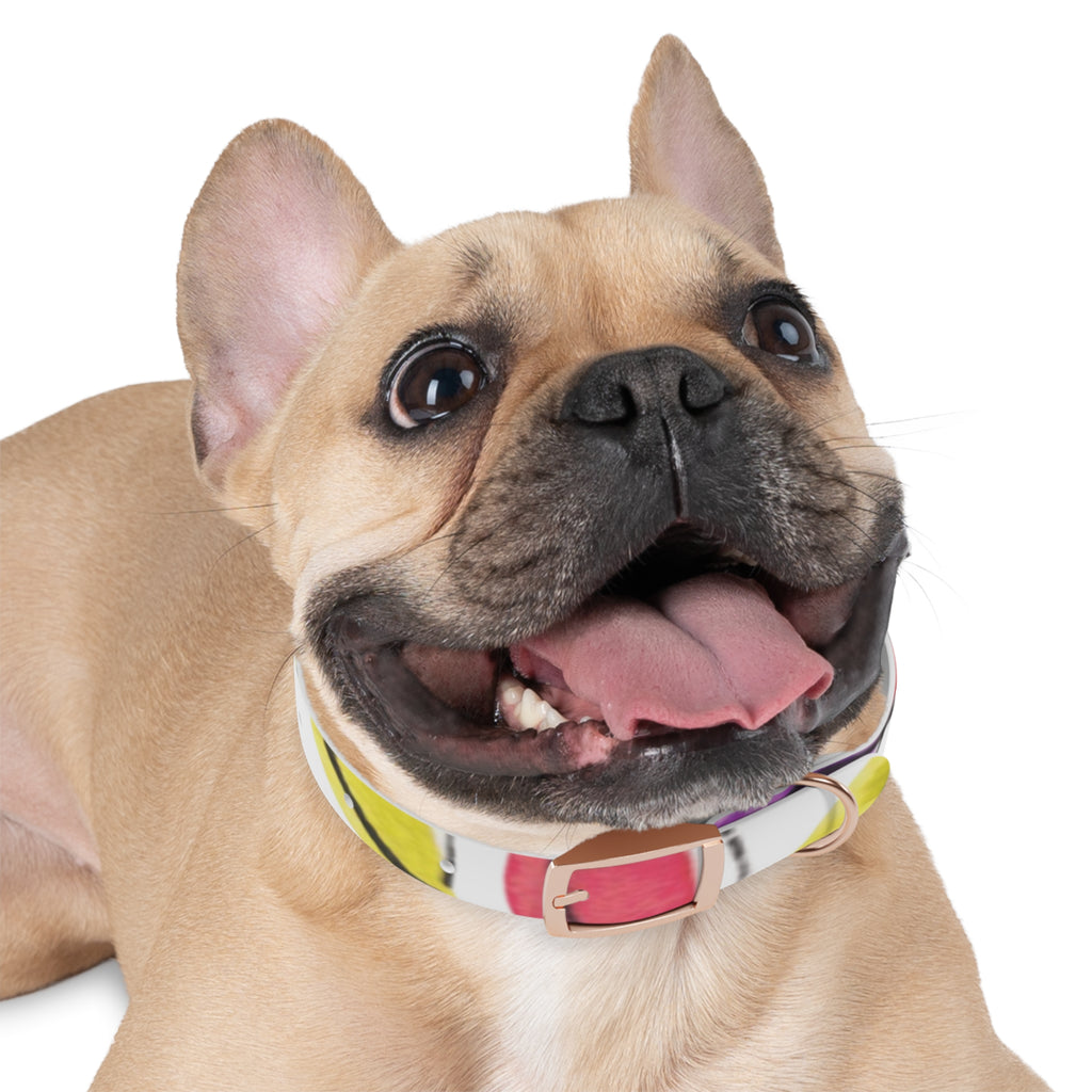 Artist Link: Petals Watercolor Dot Dog Collar — Colorful Pink & Yellow Pet Accessory