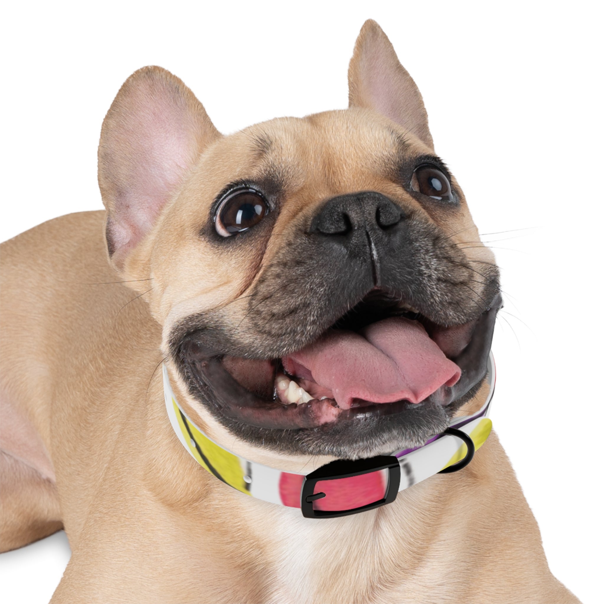 Artist Link: Petals Watercolor Dot Dog Collar — Colorful Pink & Yellow Pet Accessory