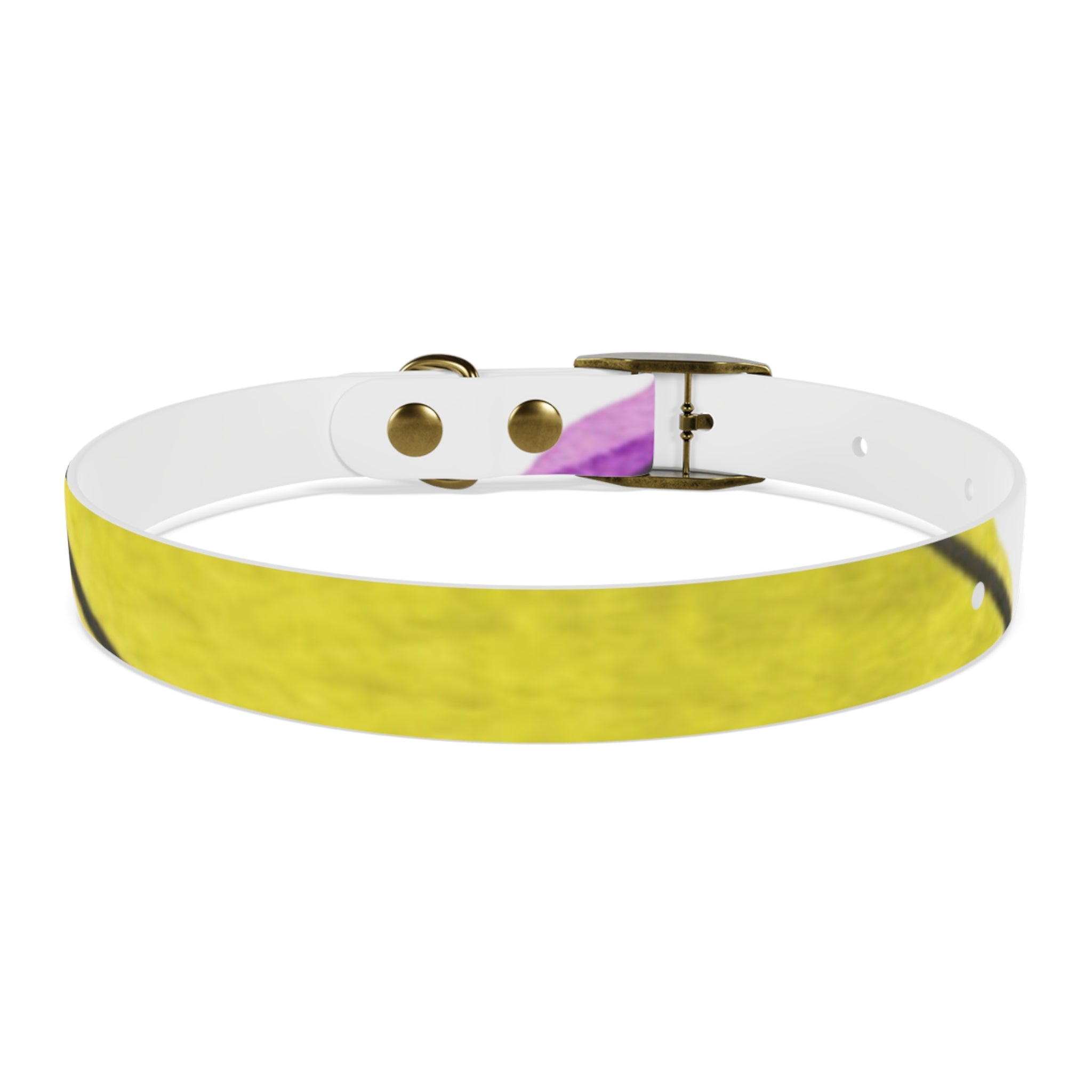 Artist Link: Petals Watercolor Dot Dog Collar — Colorful Pink & Yellow Pet Accessory