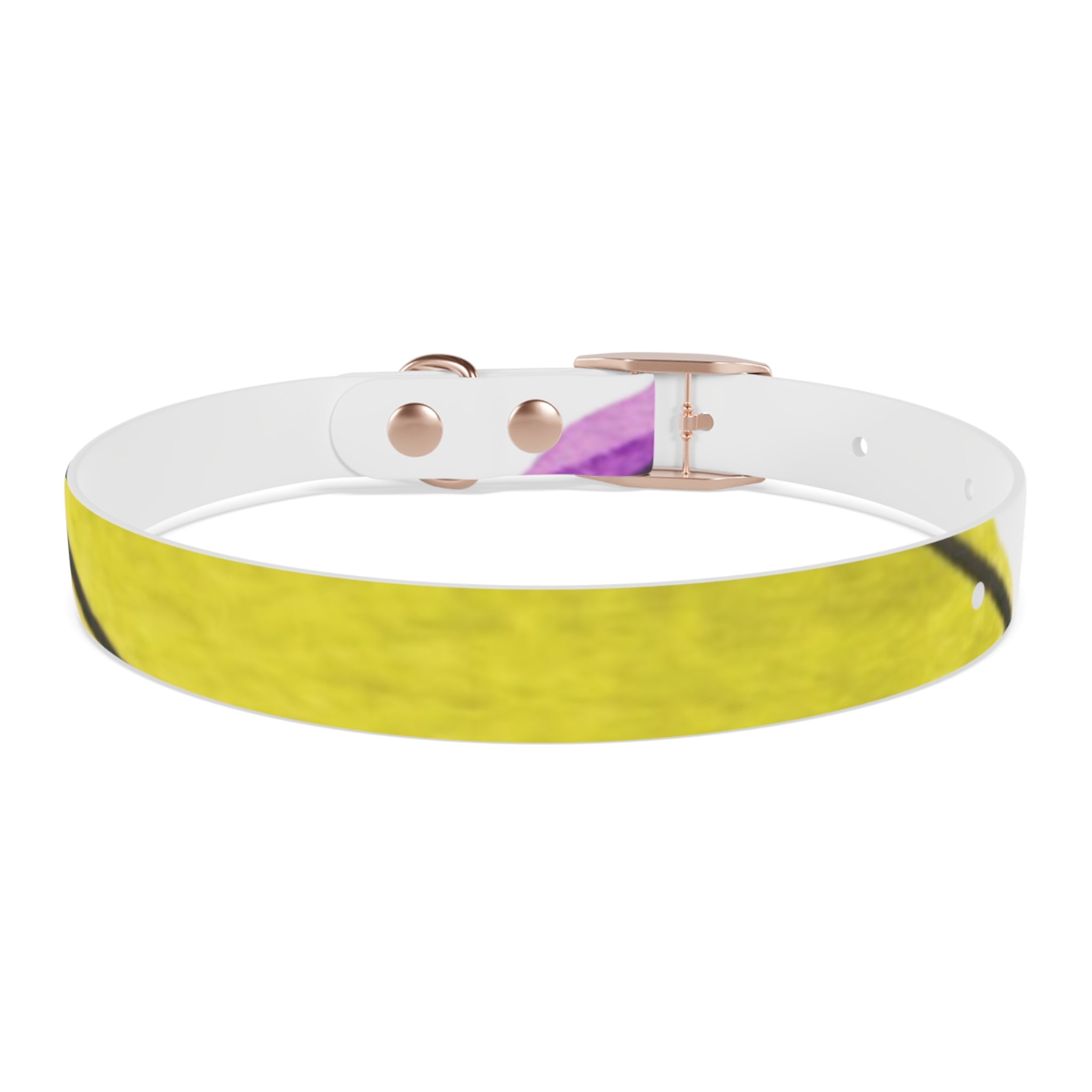 Artist Link: Petals Watercolor Dot Dog Collar — Colorful Pink & Yellow Pet Accessory