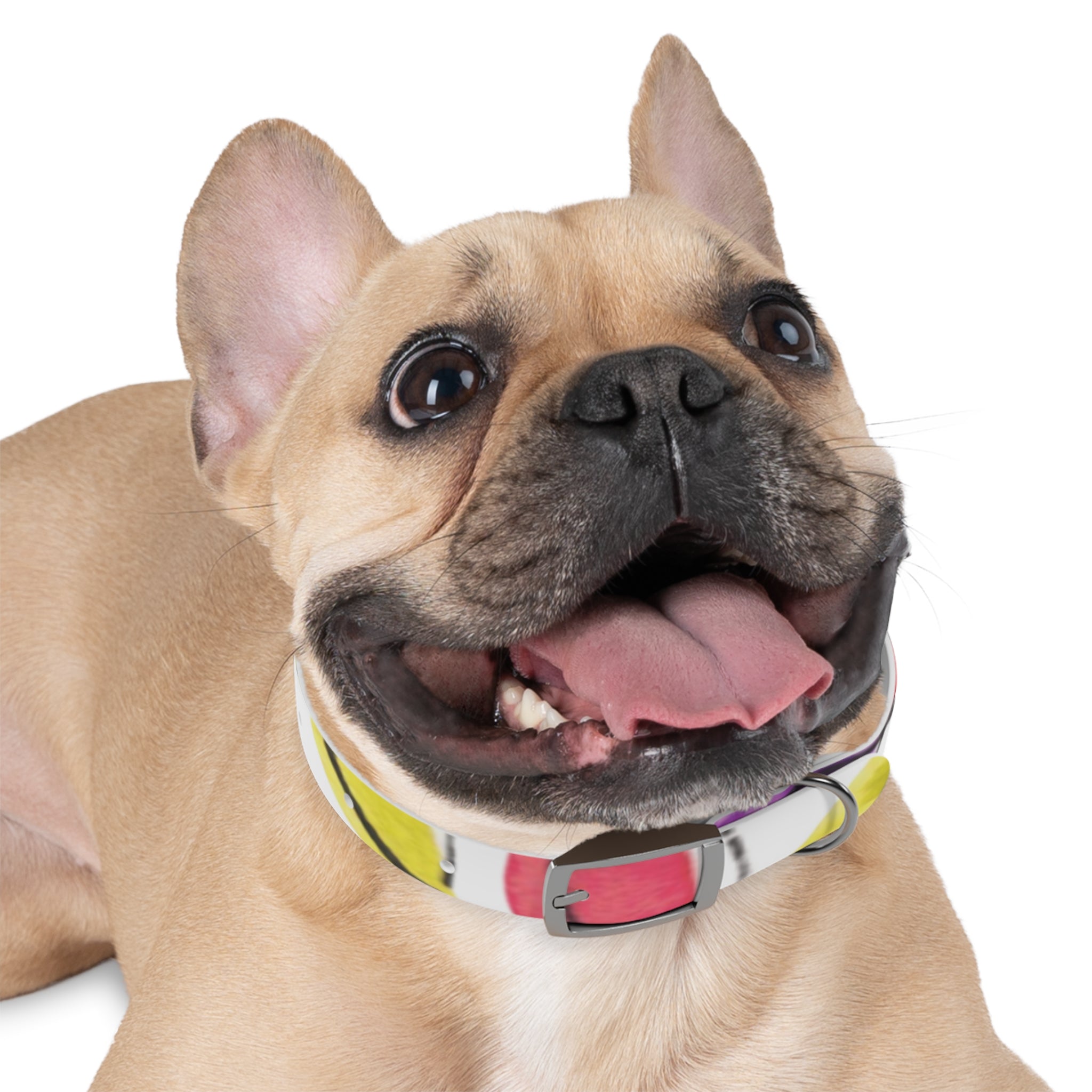 Artist Link: Petals Watercolor Dot Dog Collar — Colorful Pink & Yellow Pet Accessory